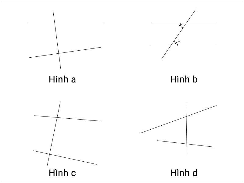 Hình đề bài 1